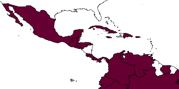 map of Aphelopus trinitatis     Olmi, 1984